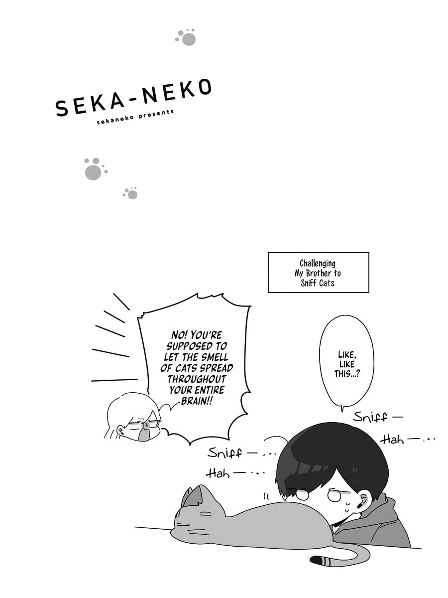 Sekai wo Teki ni Mawashite mo Neko wo Aishiteru Chapter 4 page 23 - 