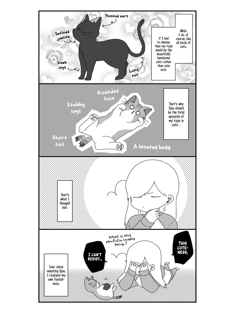 Sekai wo Teki ni Mawashite mo Neko wo Aishiteru Chapter 6 page 11 - 