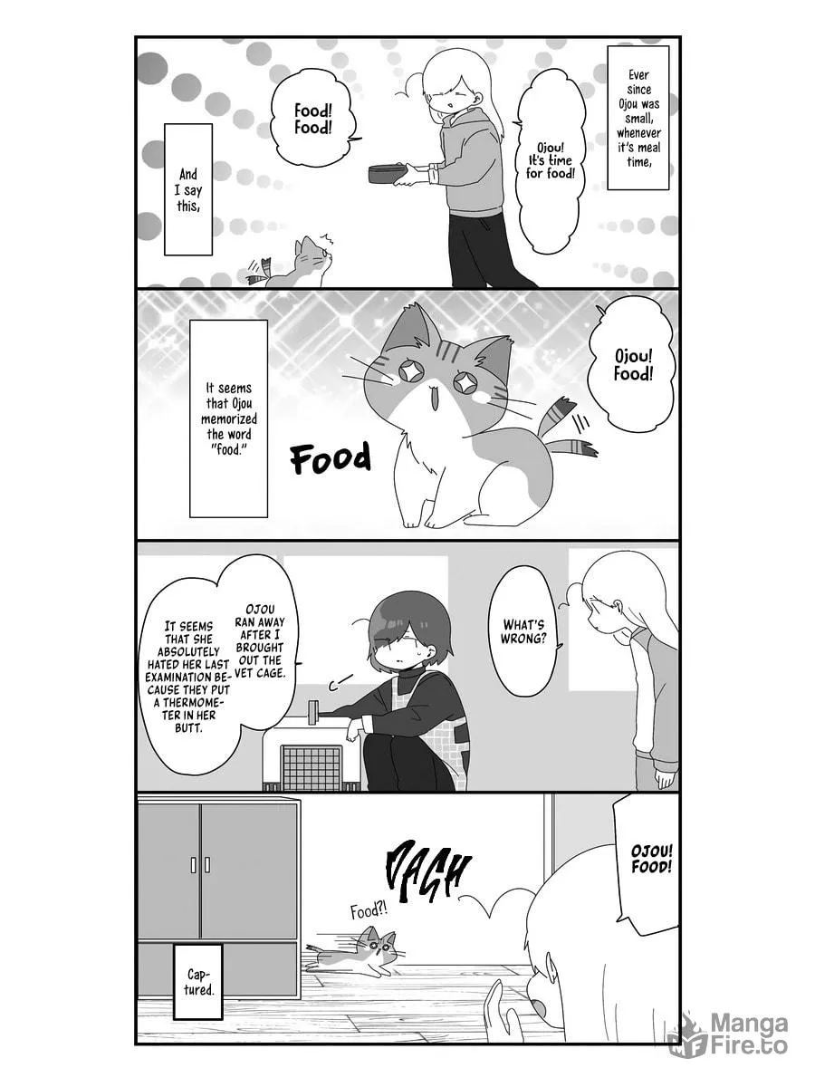 Sekai wo Teki ni Mawashite mo Neko wo Aishiteru Chapter 6 page 12 - 
