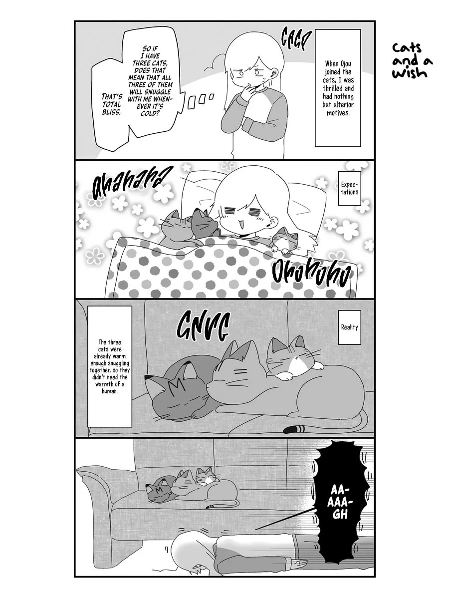 Sekai wo Teki ni Mawashite mo Neko wo Aishiteru Chapter 6 page 16 - 