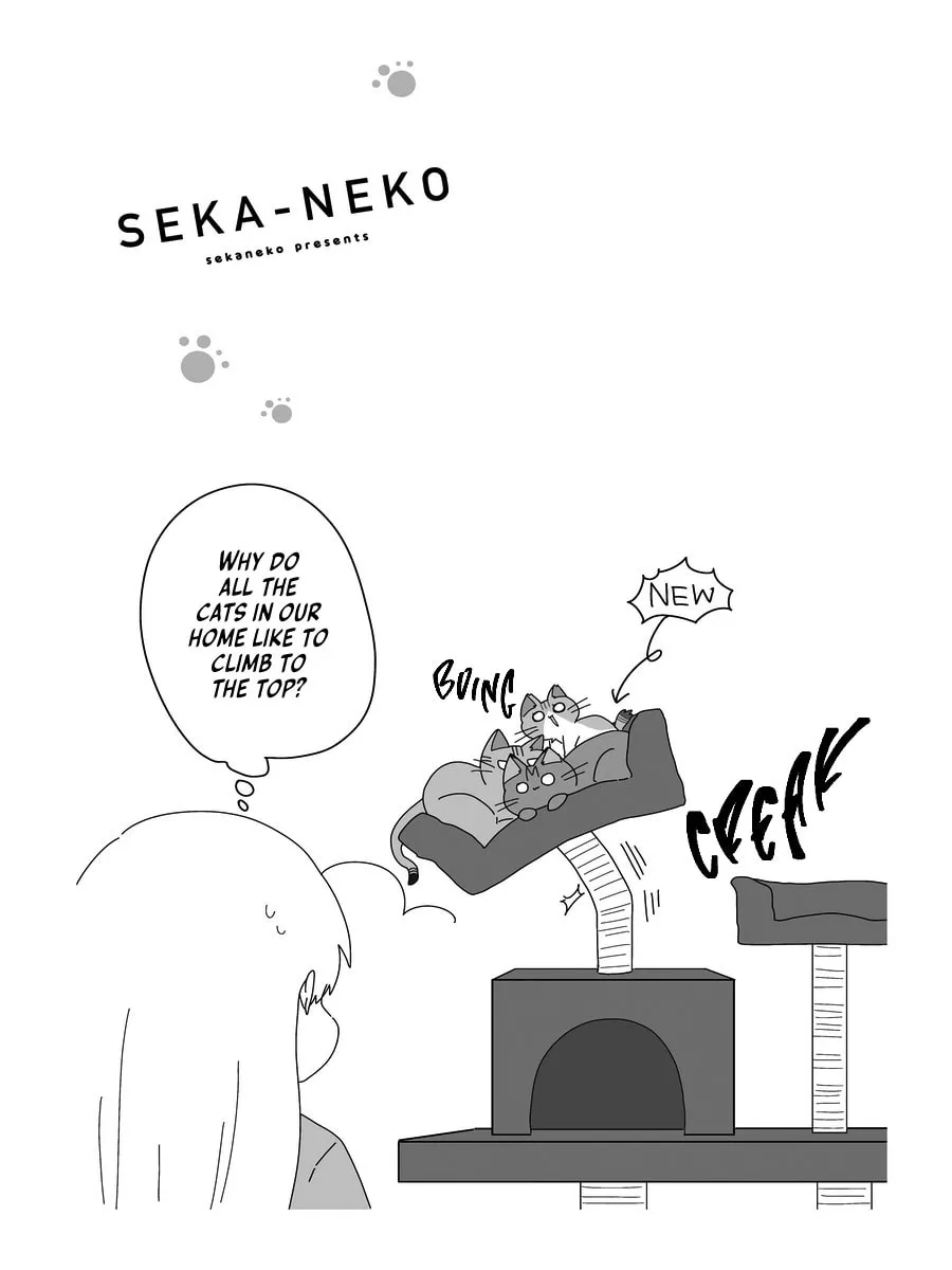 Sekai wo Teki ni Mawashite mo Neko wo Aishiteru Chapter 6 page 23 - 