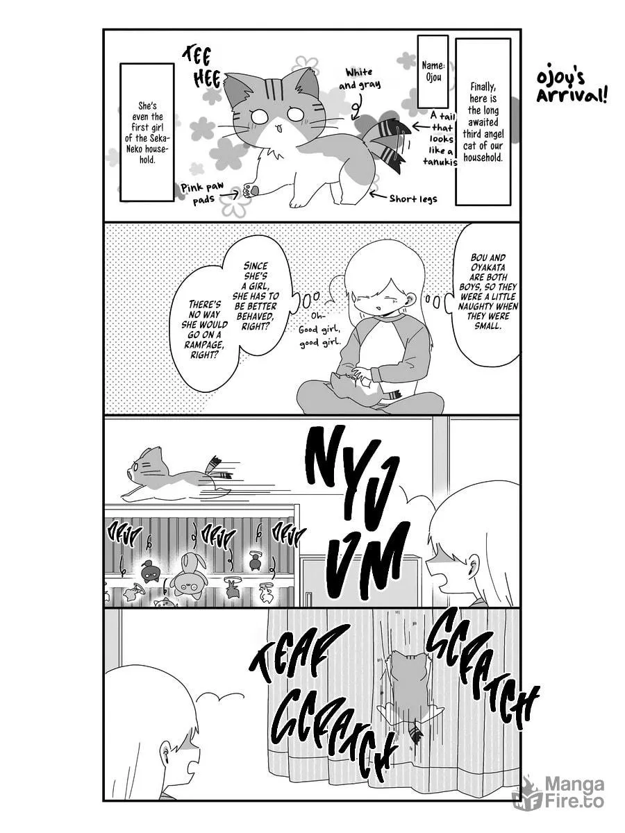 Sekai wo Teki ni Mawashite mo Neko wo Aishiteru Chapter 6 page 9 - 
