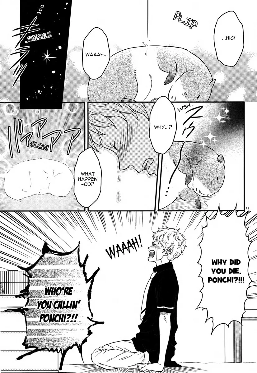 Sekimen Danshi Makkasa Chapter 0 page 11 - 