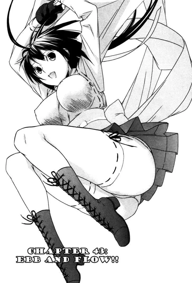 Sekirei Chapter 43 page 1 - 