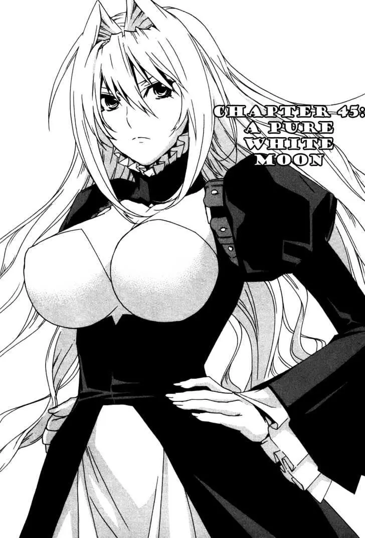 Sekirei Chapter 45 page 1 - 