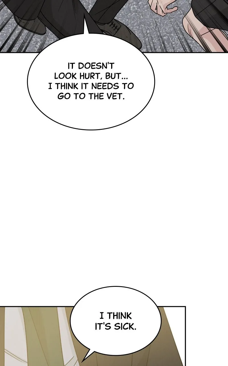 Selfish Romance Chapter 19 page 17 - 