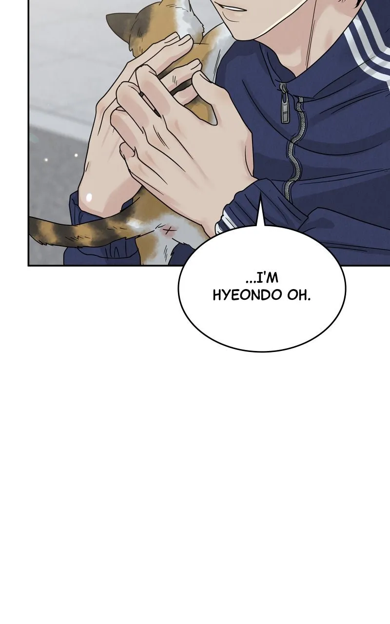 Selfish Romance Chapter 19 page 37 - 