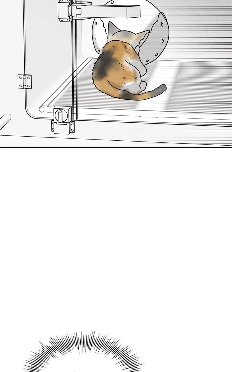 Selfish Romance Chapter 19 page 78 - 