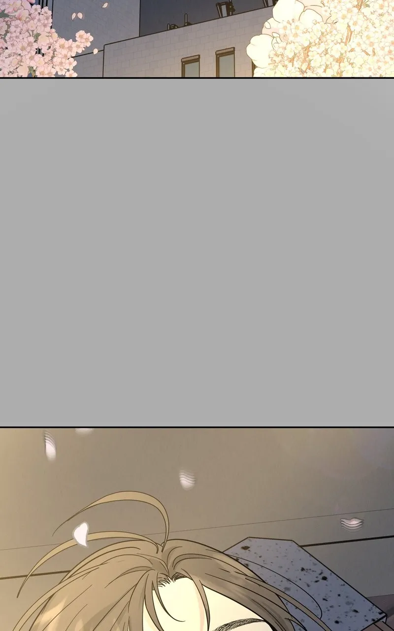 Selfish Romance Chapter 28 page 75 - 