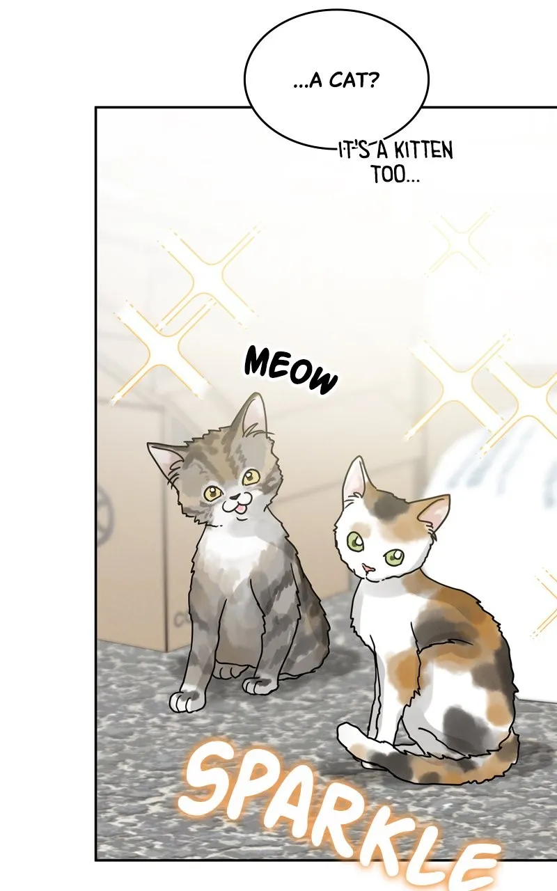 Selfish Romance Chapter 3 page 38 - 