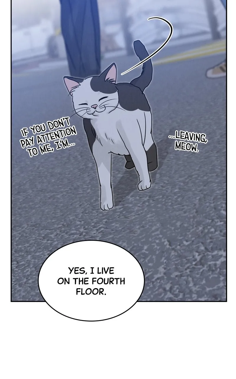 Selfish Romance Chapter 8 page 12 - 