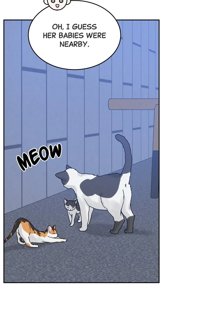 Selfish Romance Chapter 8 page 37 - 