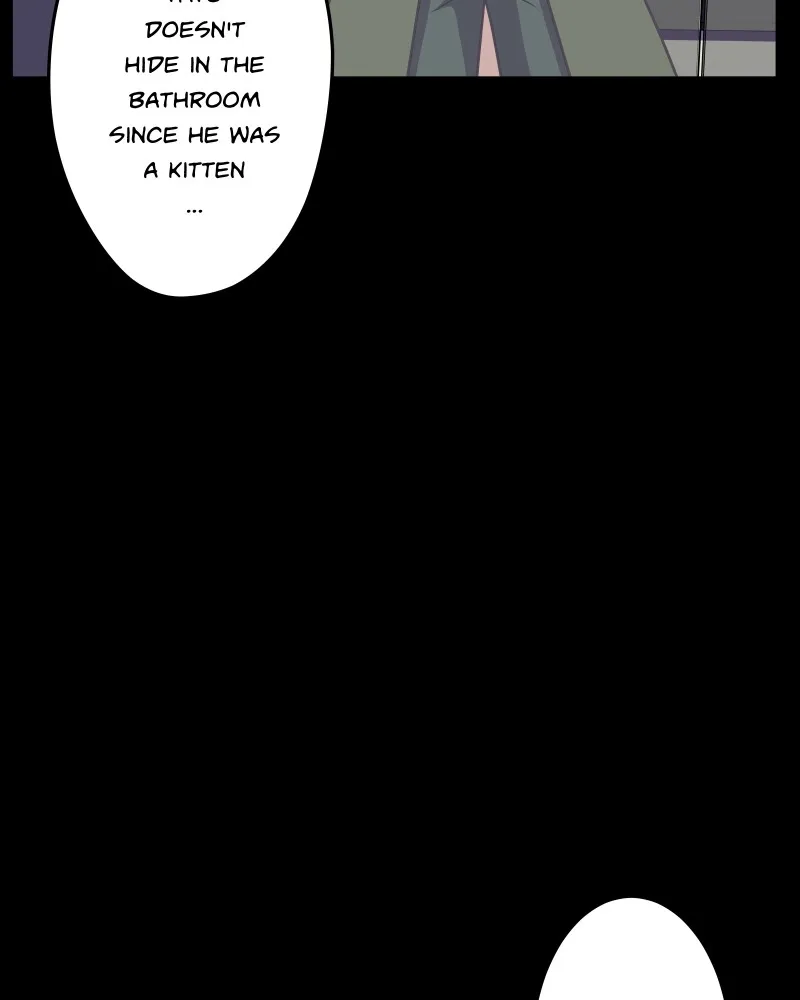 Señorita Cometa Chapter 72 page 64 - 