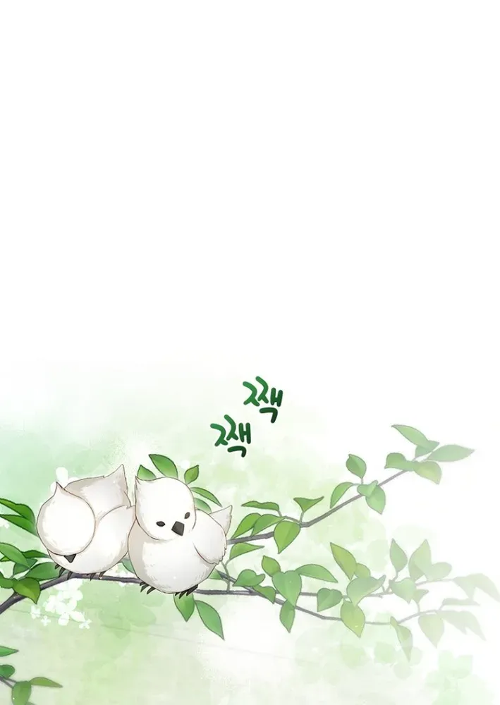 Seven Marriages Are Scheduled Chapter 13 page 21 - 