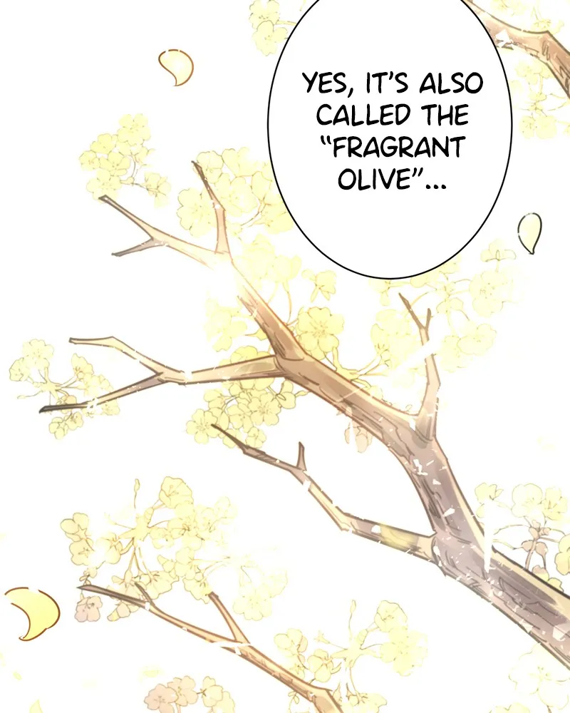 Shadow Bride Chapter 4 page 109 - 