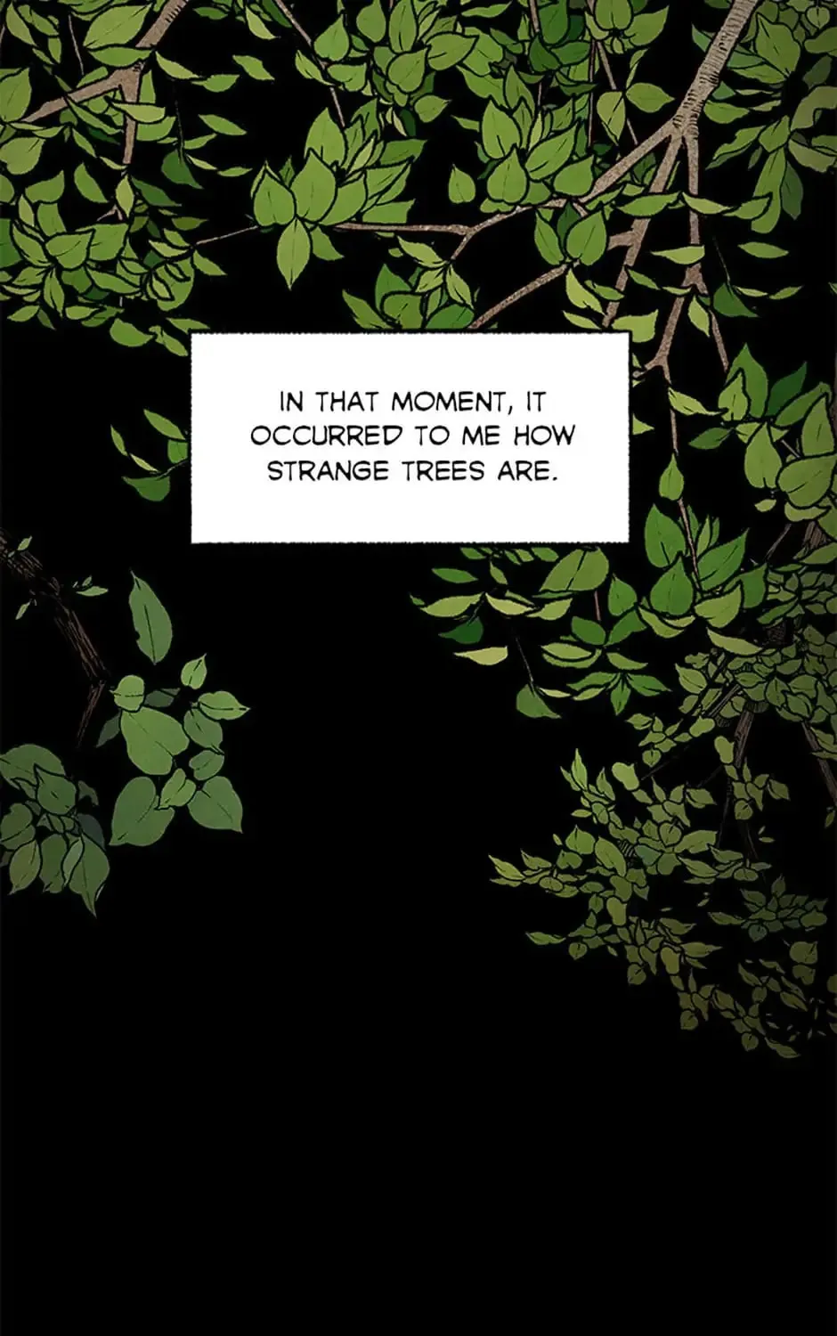 Shadow Garden Chapter 0 page 26 - 