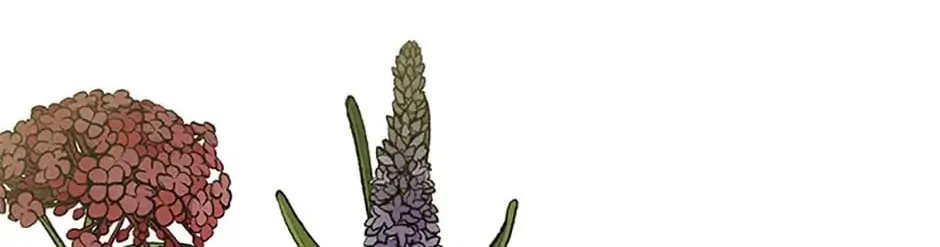Shadow Garden Chapter 10 page 92 - 