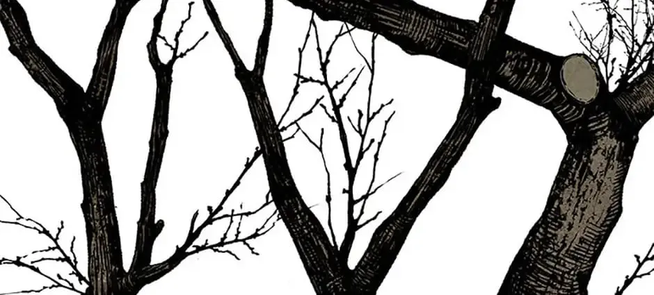 Shadow Garden Chapter 16 page 16 - 