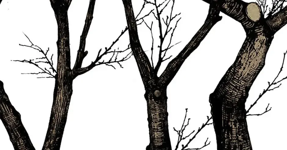 Shadow Garden Chapter 16 page 154 - 
