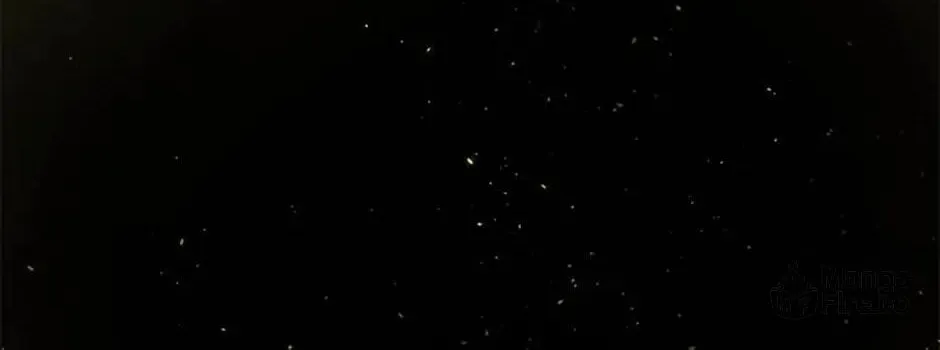 Shadow Garden Chapter 16 page 100 - 