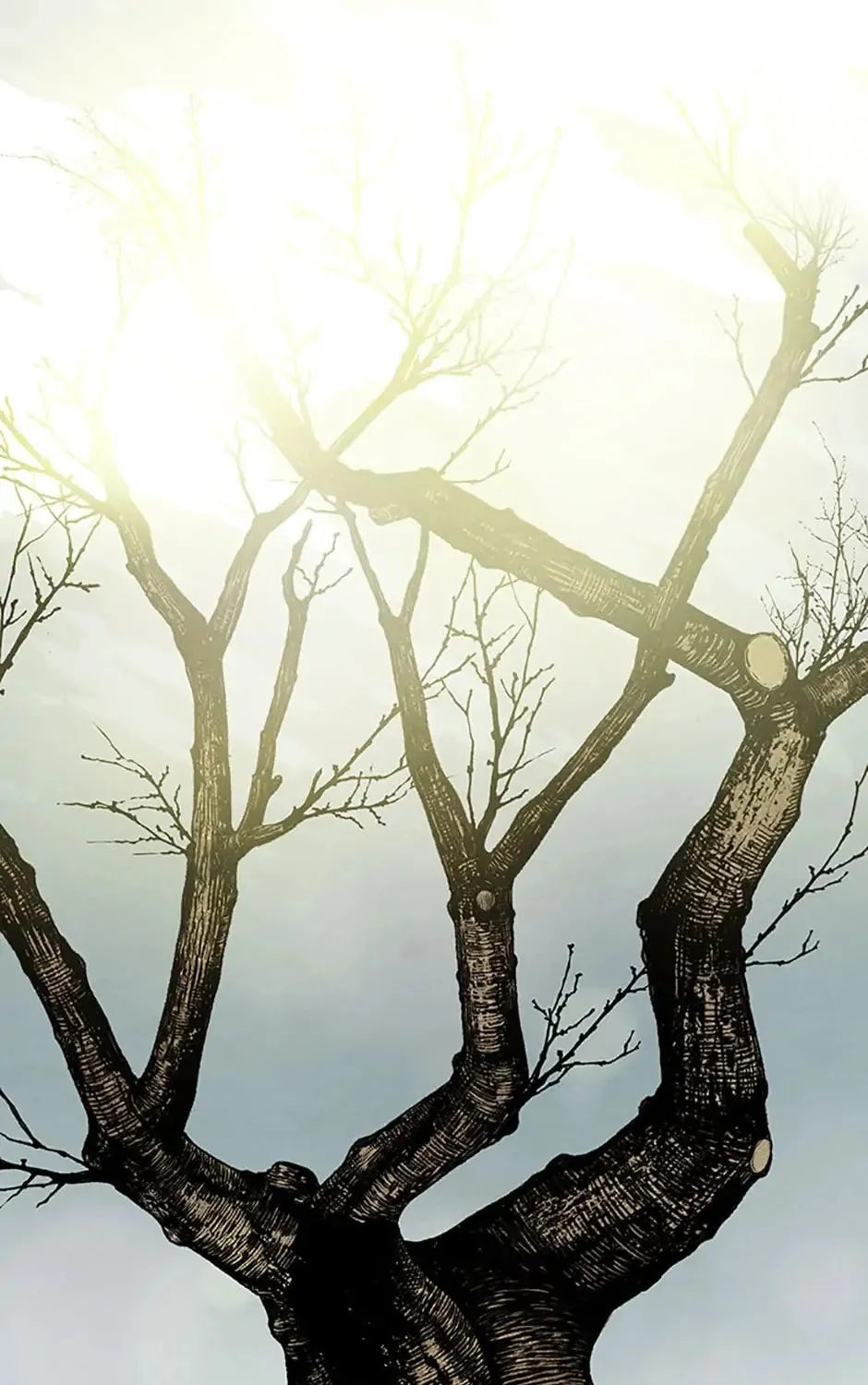 Shadow Garden Chapter 21 page 13 - 