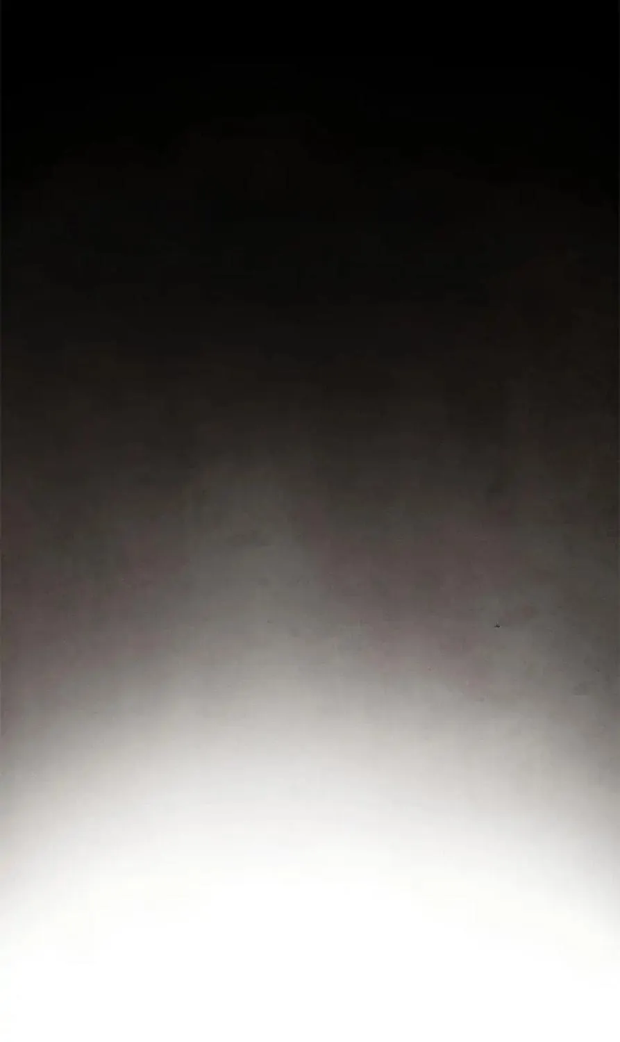 Shadow Garden Chapter 22 page 17 - 
