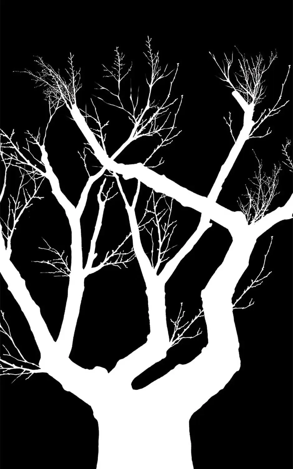 Shadow Garden Chapter 23 page 63 - 