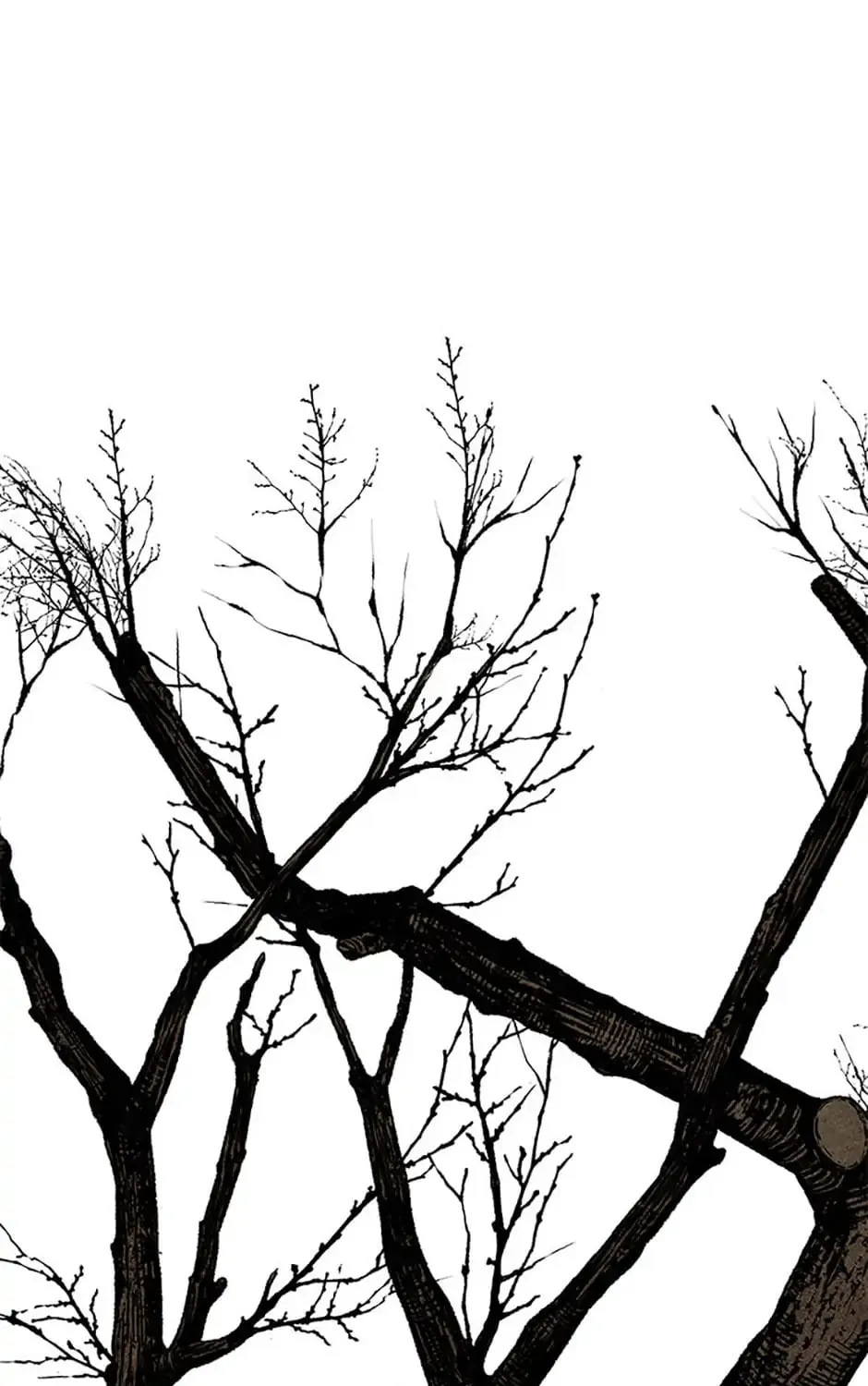Shadow Garden Chapter 24 page 151 - 