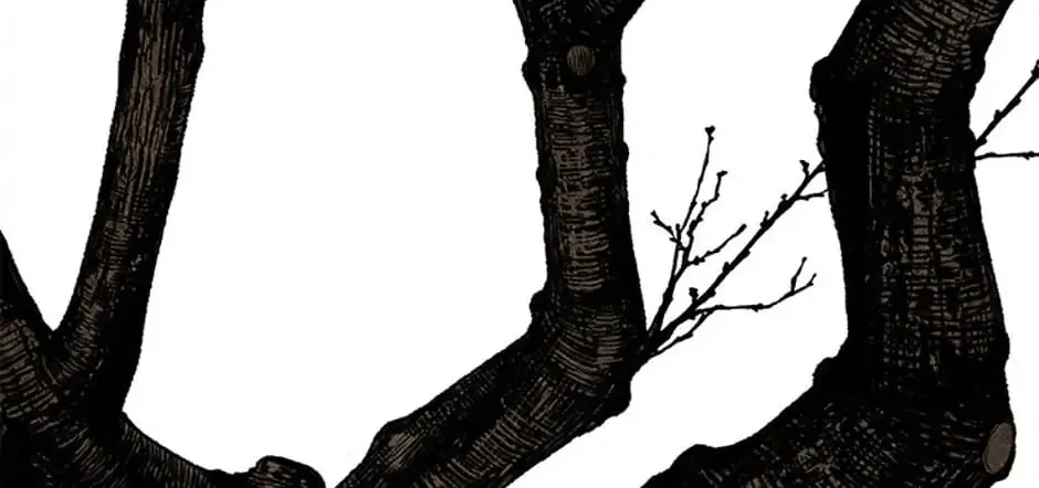 Shadow Garden Chapter 24 page 152 - 