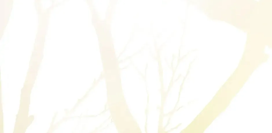 Shadow Garden Chapter 24 page 28 - 