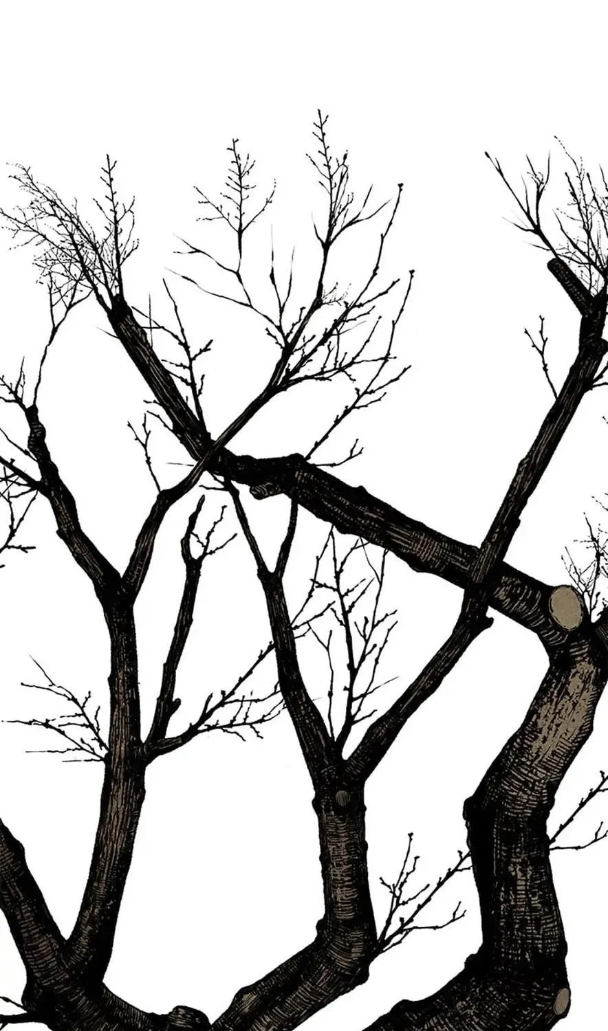 Shadow Garden Chapter 26 page 119 - 