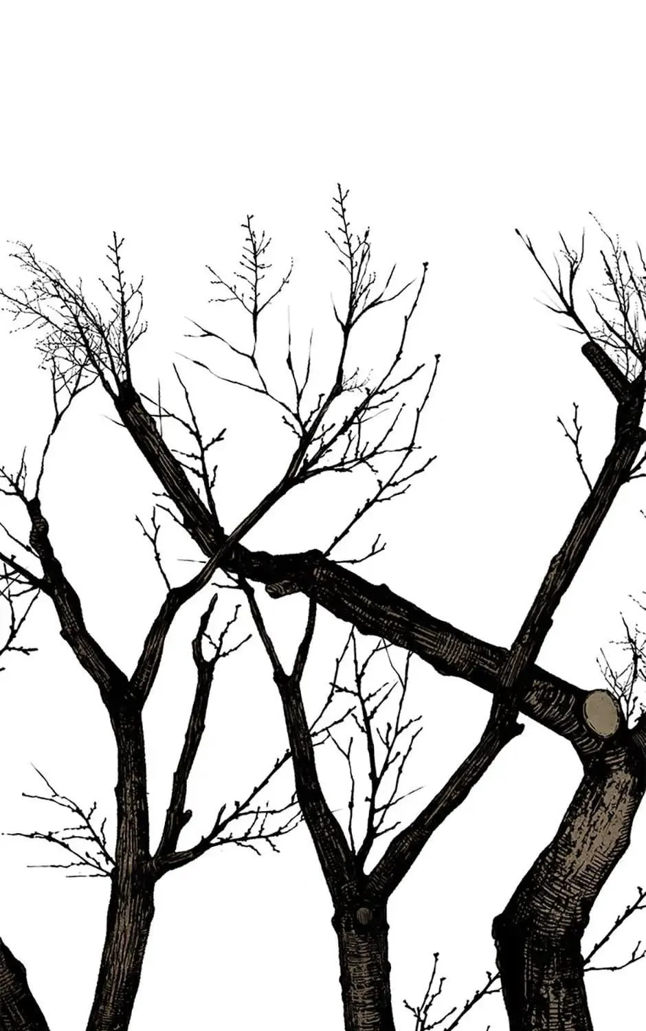 Shadow Garden Chapter 27 page 79 - 