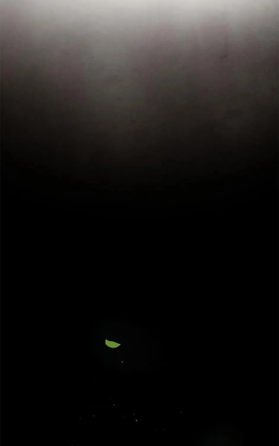 Shadow Garden Chapter 28 page 5 - 