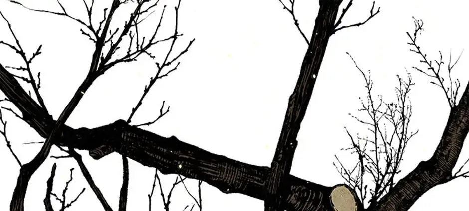 Shadow Garden Chapter 29 page 26 - 