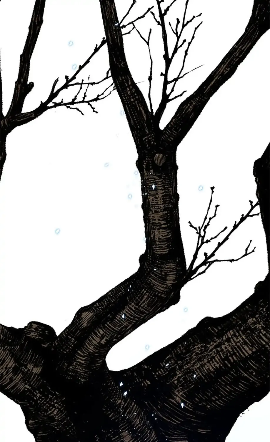 Shadow Garden Chapter 29 page 85 - 