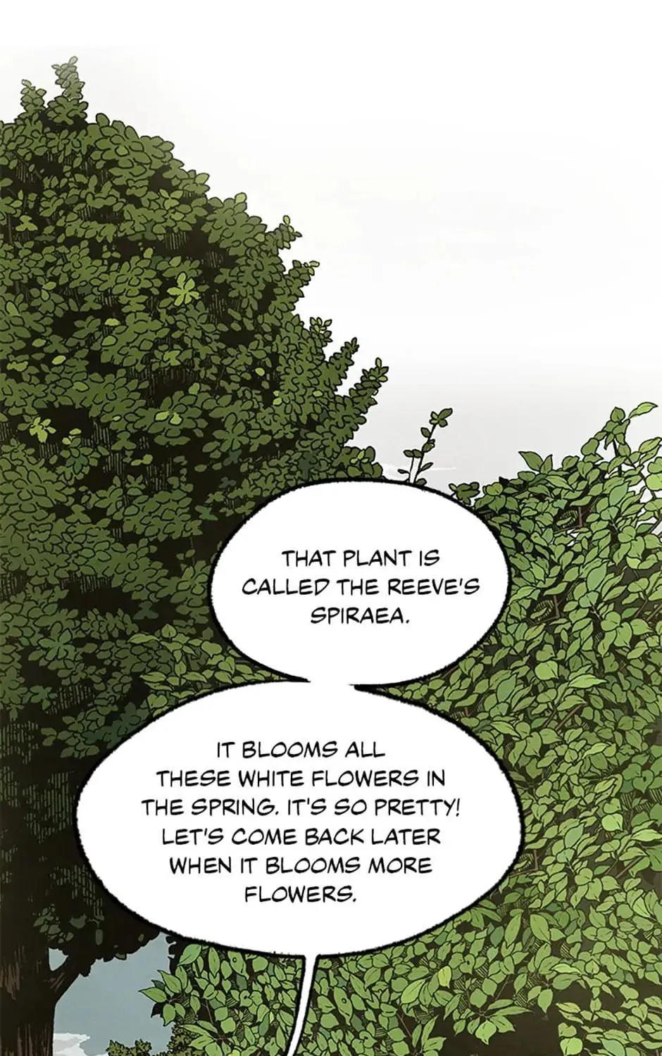 Shadow Garden Chapter 30 page 109 - 