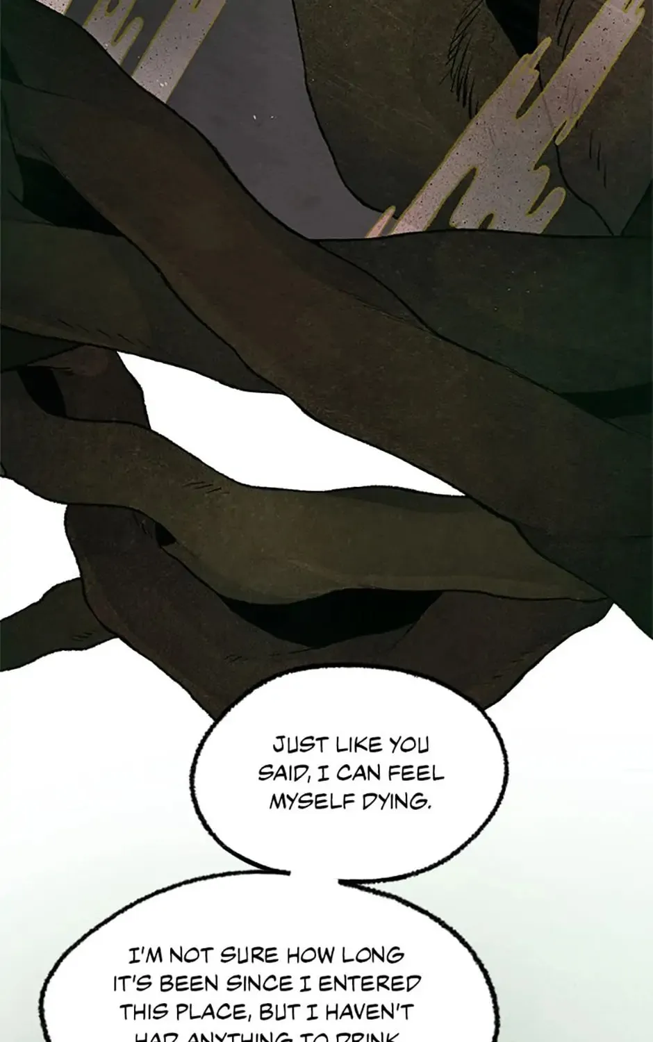 Shadow Garden Chapter 36 page 109 - 