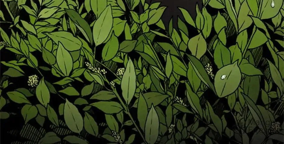 Shadow Garden Chapter 39 page 78 - 
