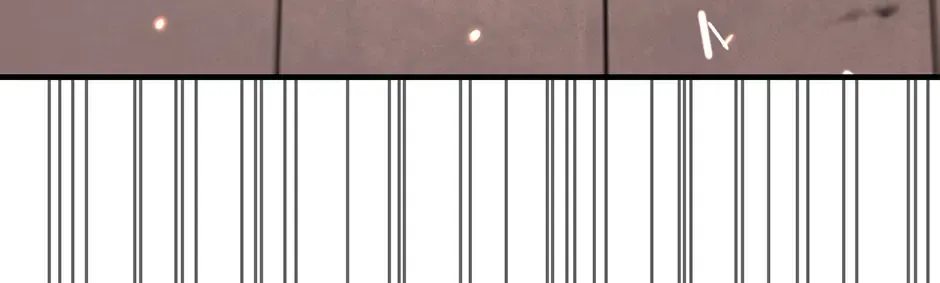 Shadow of the Supreme Chapter 2 page 209 - 