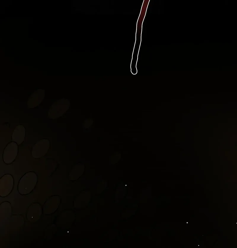 Shadow’s Resurgence Chapter 14 page 61 - 