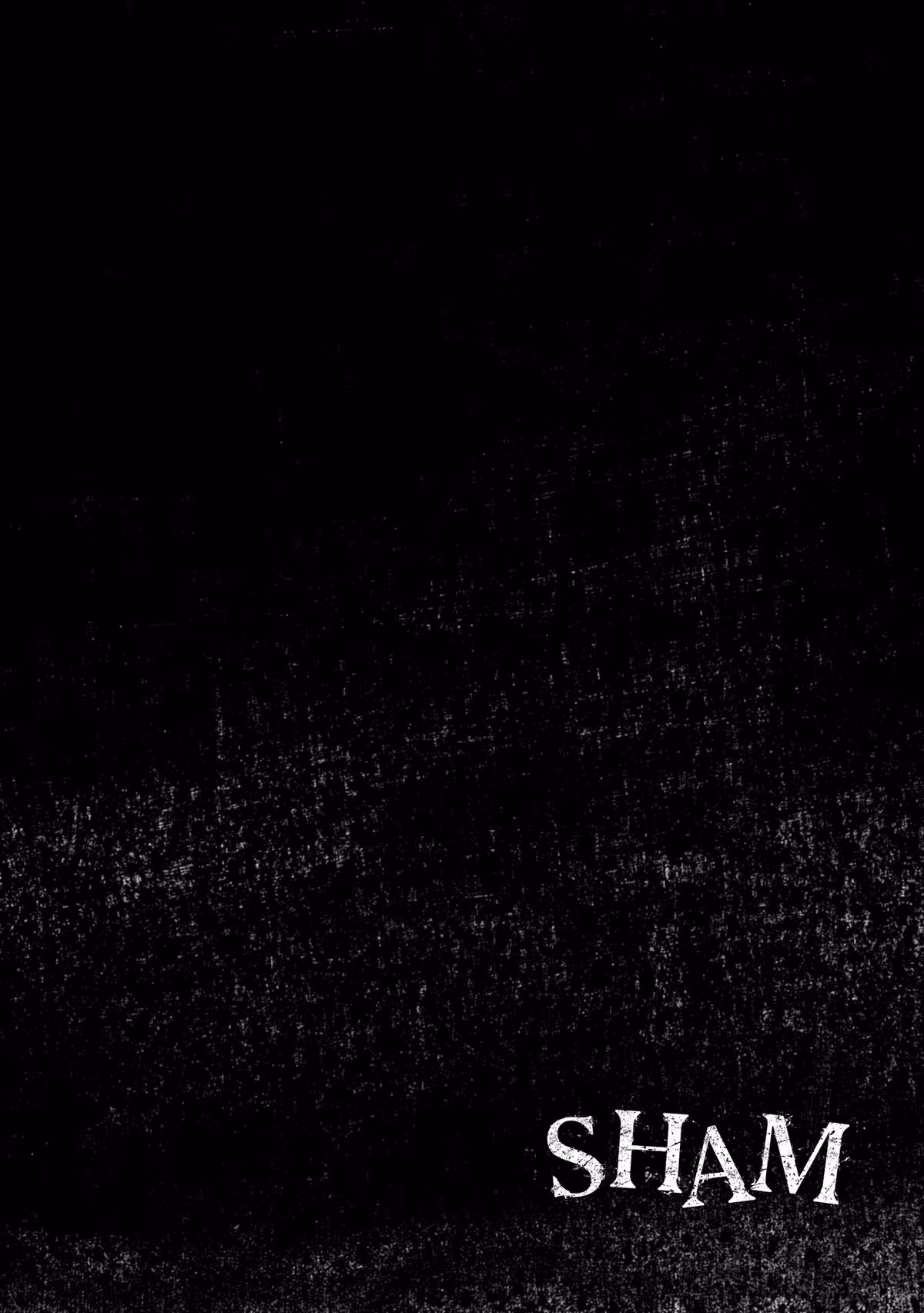 SHAM Chapter 30 page 18 - 
