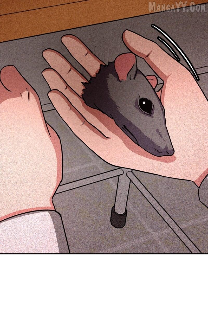 Shell Chapter 11 page 94 - 