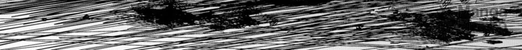Shibatarian Chapter 19 page 36 - 
