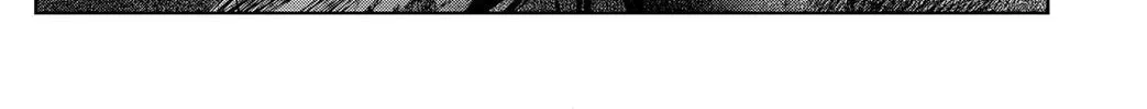 Shibatarian Chapter 22 page 2 - 