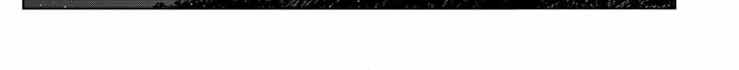 Shibatarian Chapter 9 page 34 - 
