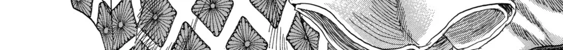 Shigurui Chapter 84 page 2 - 
