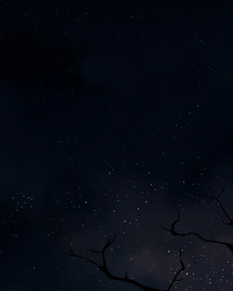 Shiloh Chapter 24 page 3 - 
