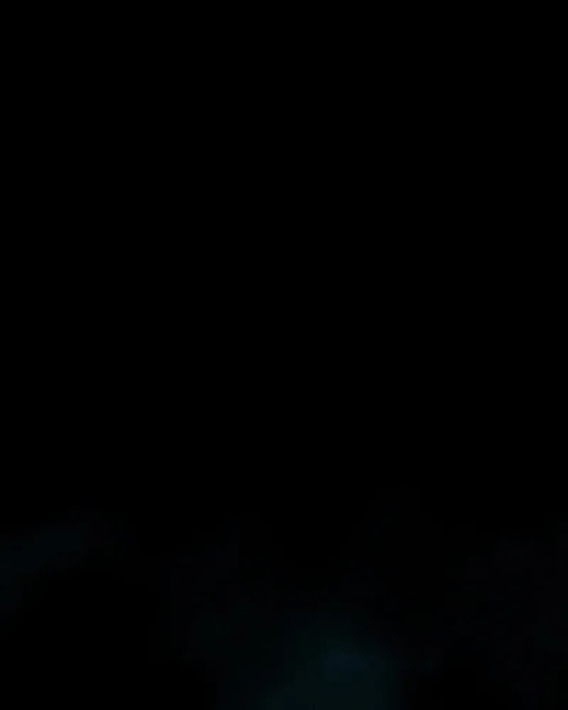 Shiloh Chapter 29 page 71 - 