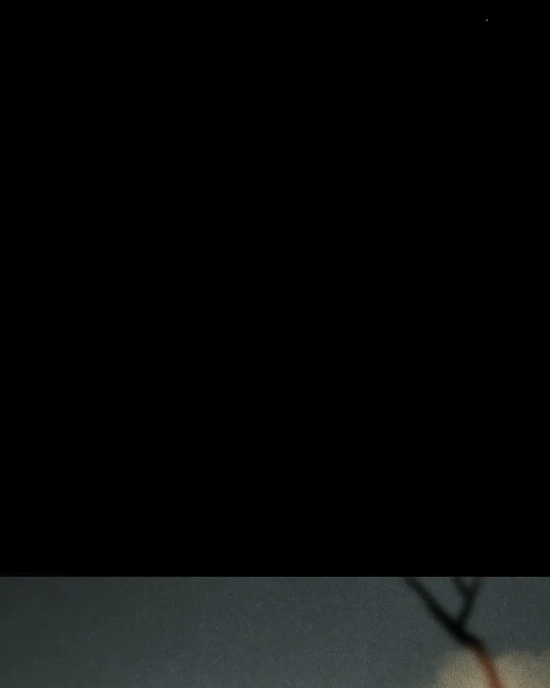 Shiloh Chapter 34 page 5 - 