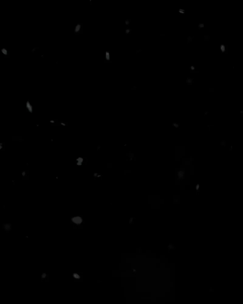 Shiloh Chapter 51 page 67 - 